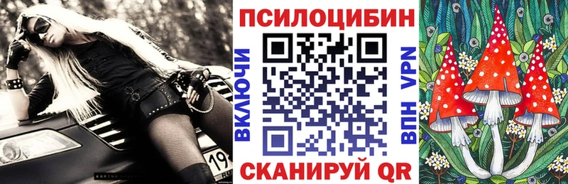 Купить где  Белёв  Галлюциногенные грибы Cubensis 